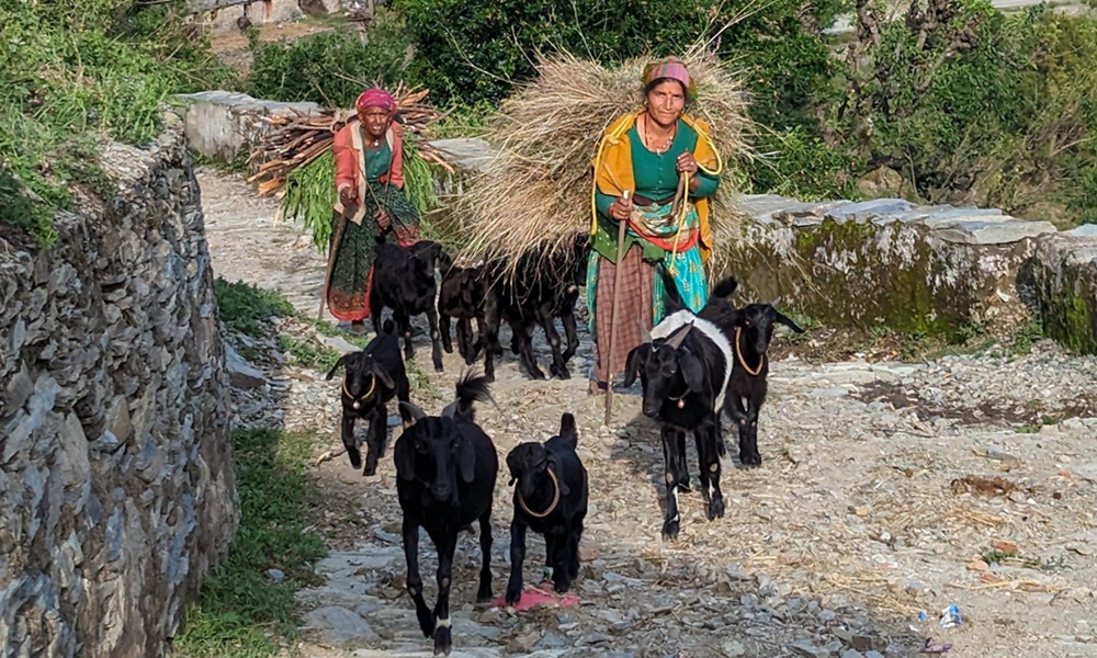Vie de village en Uttarakhand