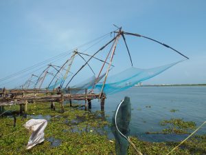 La pêche traditionnelle à Cochin