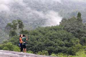 Forêt au Kerala