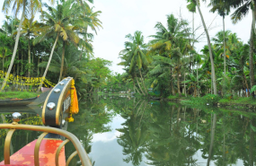 Sur les Backwaters, Kerala