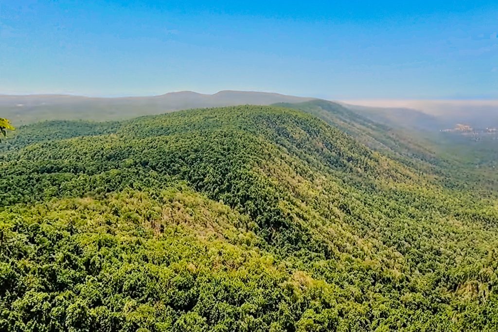 Visiter le Chhattisgarh et ses forêts.