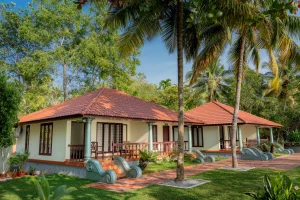 Cottages individuels face aux Backwaters au Dhathri Ayuveda resort