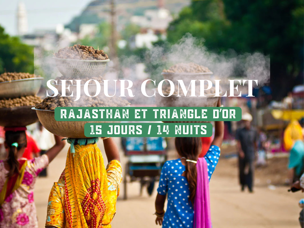 Accompagné d'un guide francophone, voici un séjour immersif à la découverte des plus beaux sites du Rajasthan