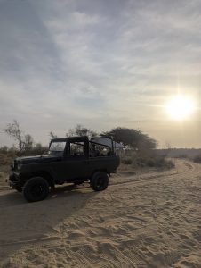 Durant cette extention, un Safari en jeep exclusive ets prévu dans les dunes du désert du Thar