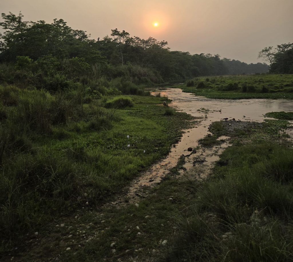 La réserve de Chitwan