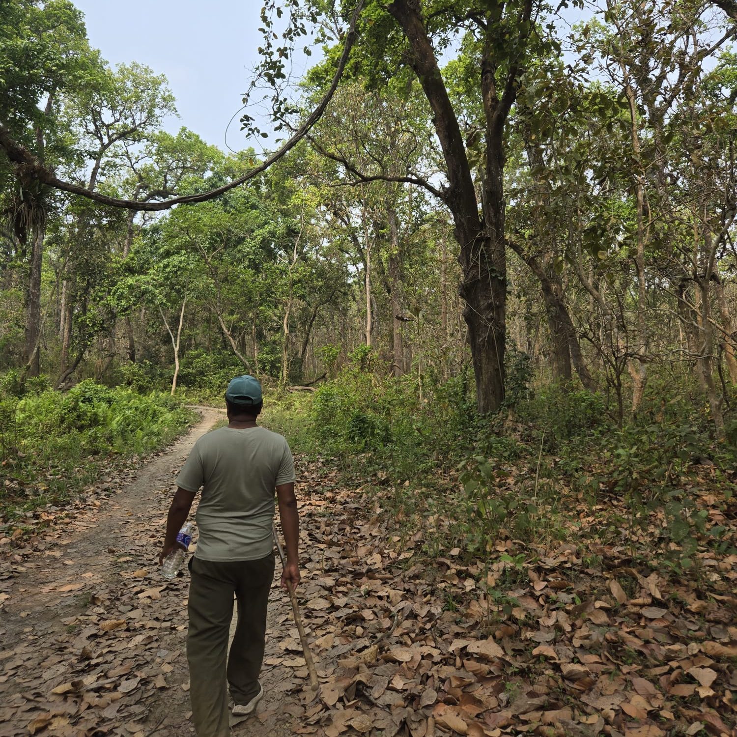 Safari à pied dans la réserve de Chitwan au Népal
