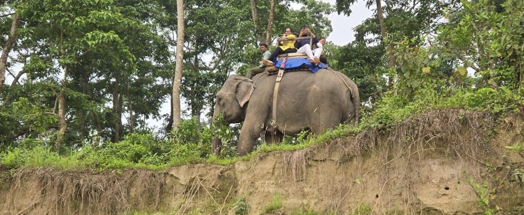 Réserve de Chitwan au Népal