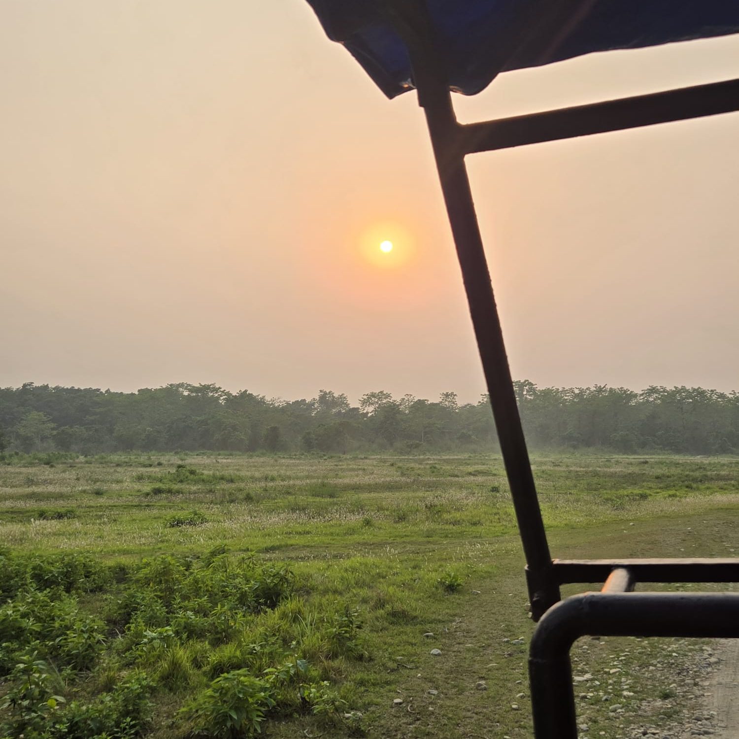 Observer le coucher de soleil depuis le parc de Chitwan