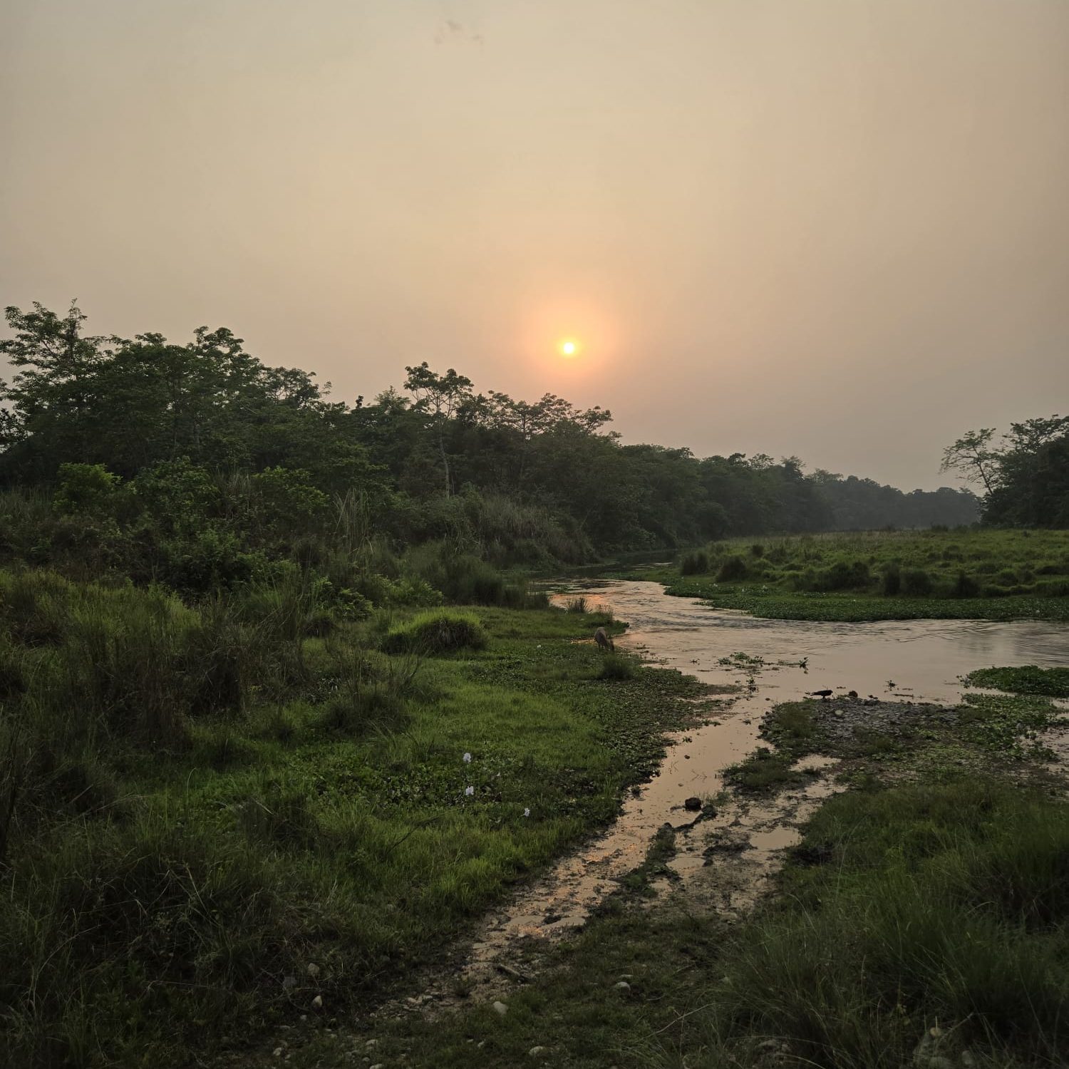 Coucher de soleil depuis le parc de Chitwan