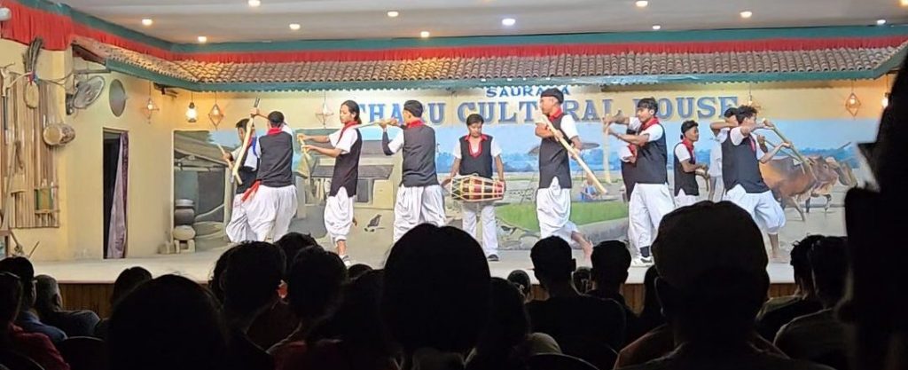 Spectacle d'une communauté locale à Chitwan