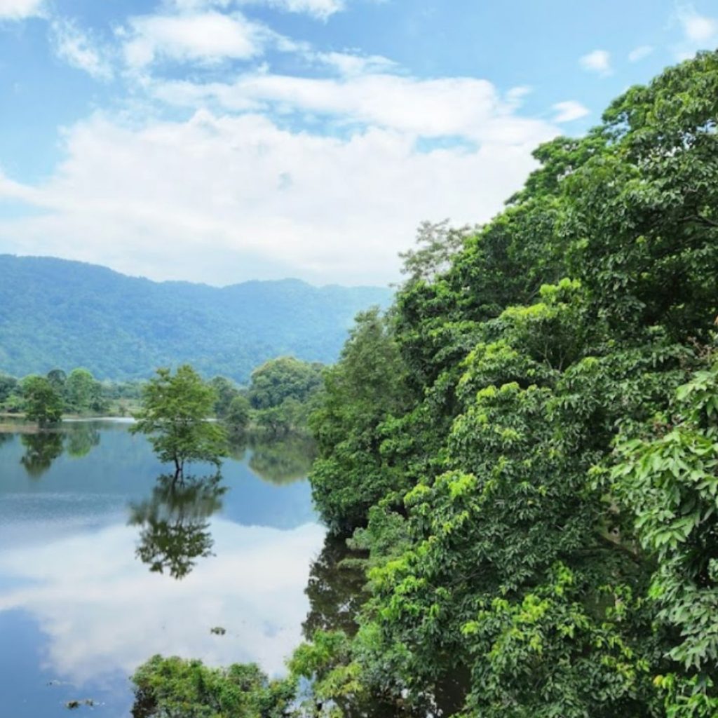 Parc national en Inde