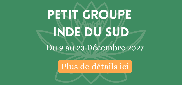 Séjour accompagné par un guide accompagnateur francophone en Inde du Sud pour le mois de Janvier 2027