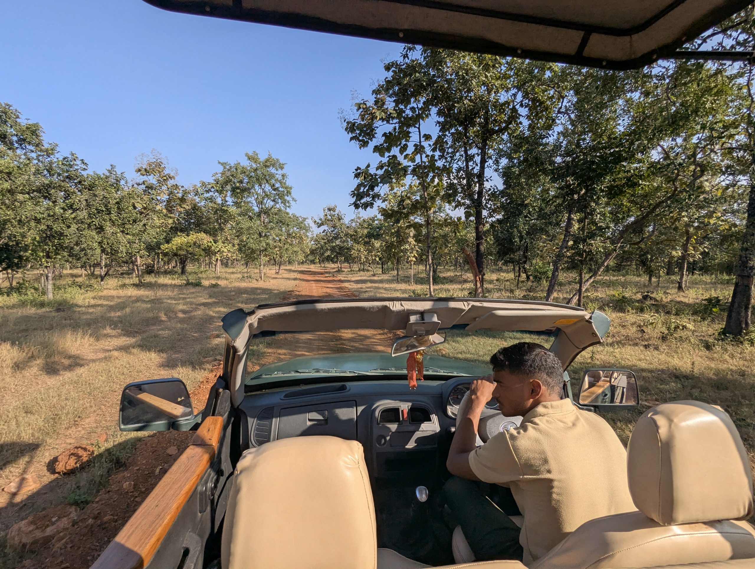 Tout ce qu'il faut savoir pour réserver votre safari en Inde.